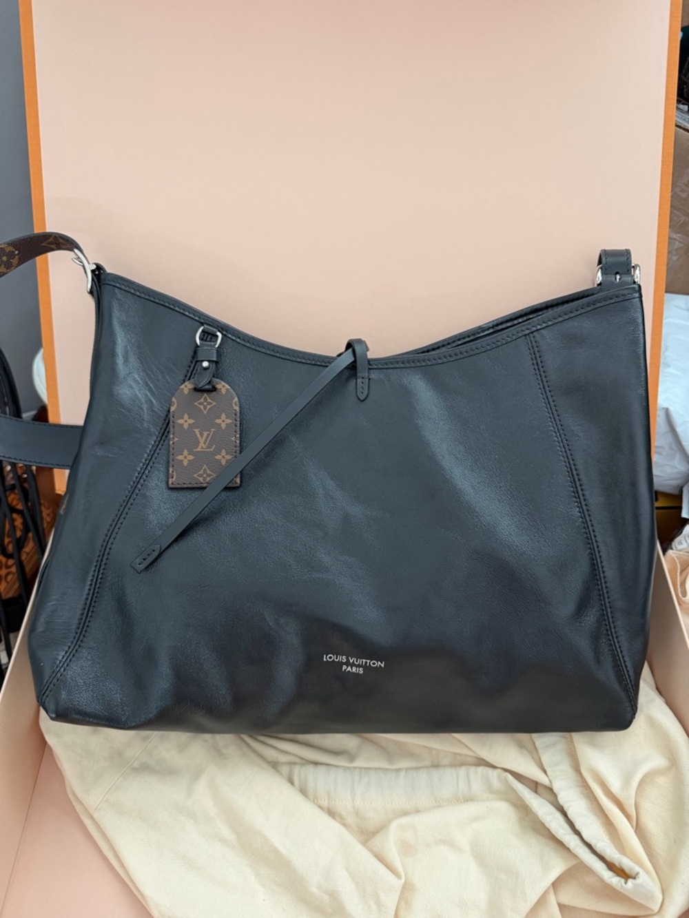 Louis Vuitton Carryall VIBE MM in lambskin & monogram canvas shoulder bag 2025 - Picture 14 of 16